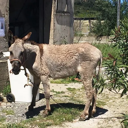 Appartement Sardiniare-casa La Torre